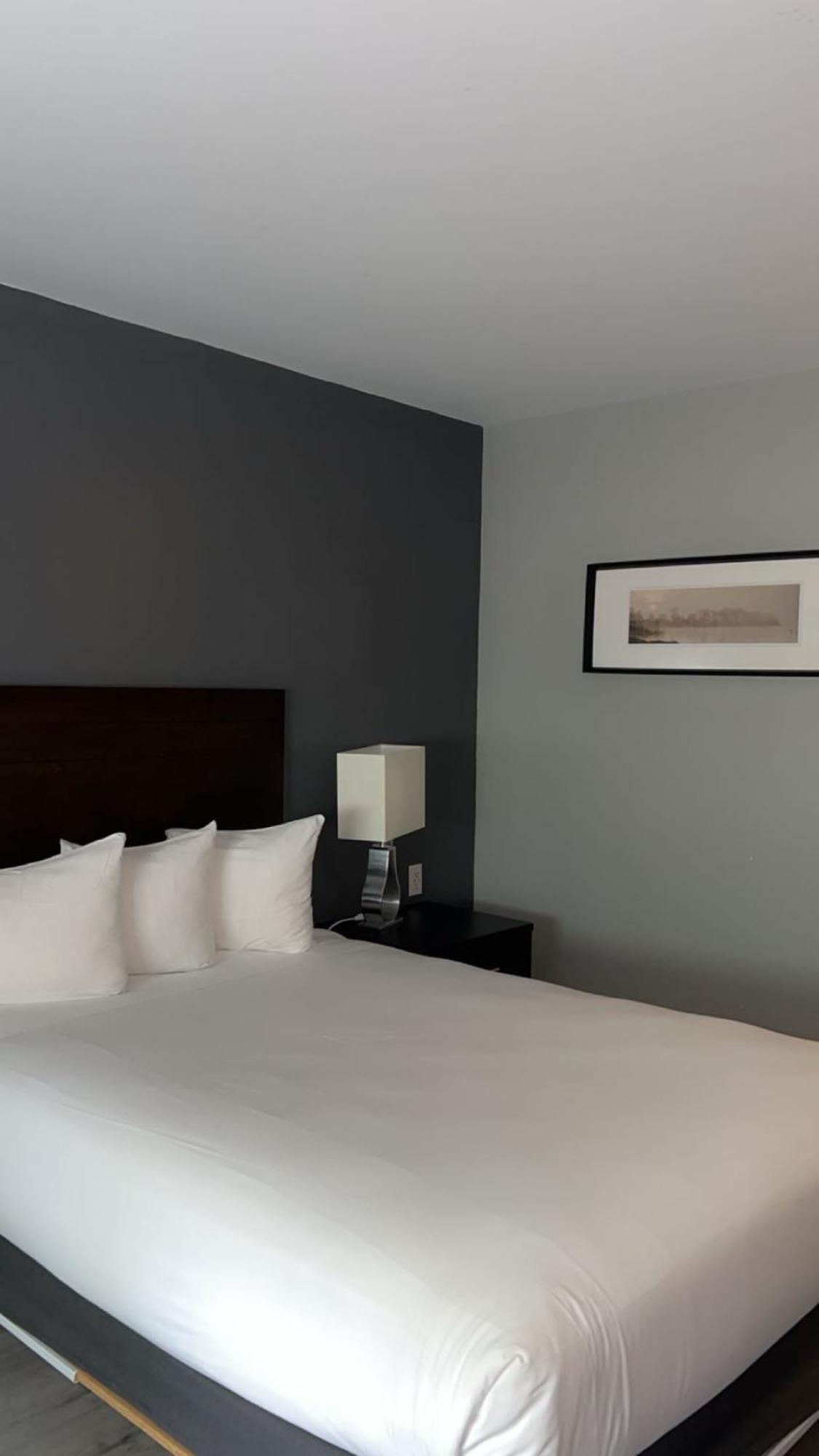 Hotel Newstar Montréal Buitenkant foto